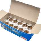 Bulbs 244 [A4009E] 6V 10W SCC BA15S 18.5mm[BOX 10]